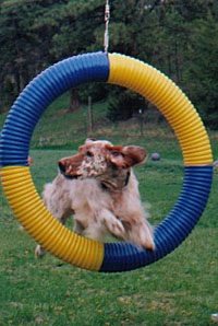 Ellie-tire.jpg