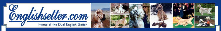 Setter Ridge Kennels — EnglishSetter.com